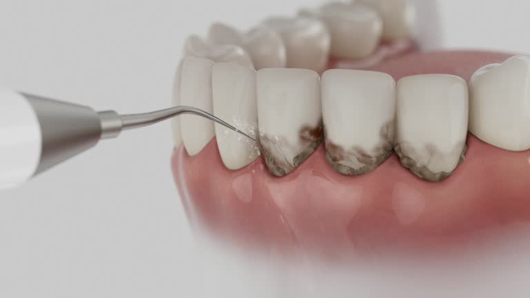 Reliable Dental contractor in Richland, PA by Dentist Open Now